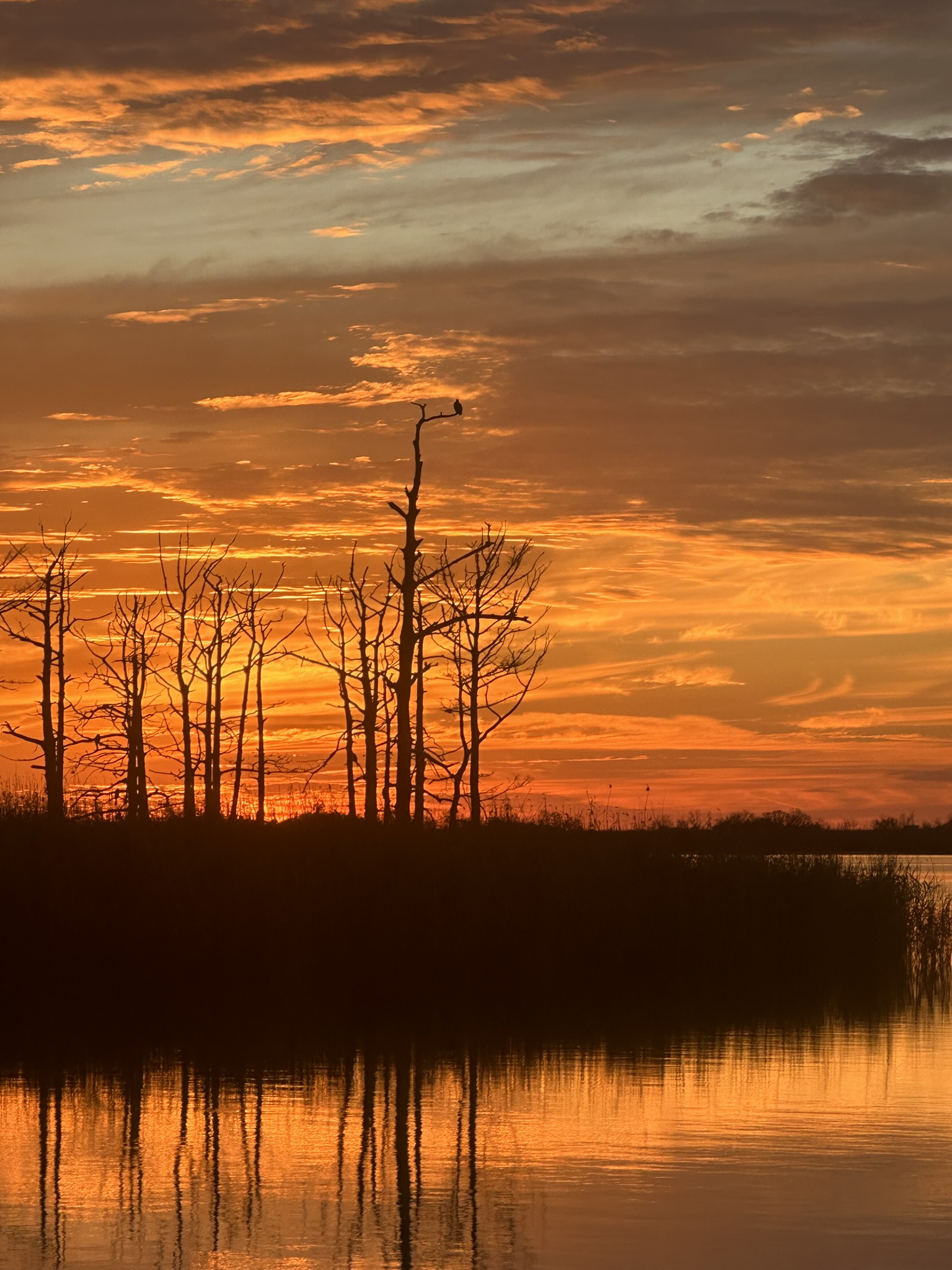 United States-National Parks-Other - Image 2361